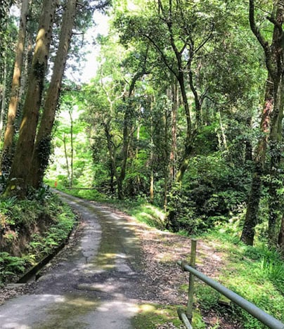 左カーブの山道