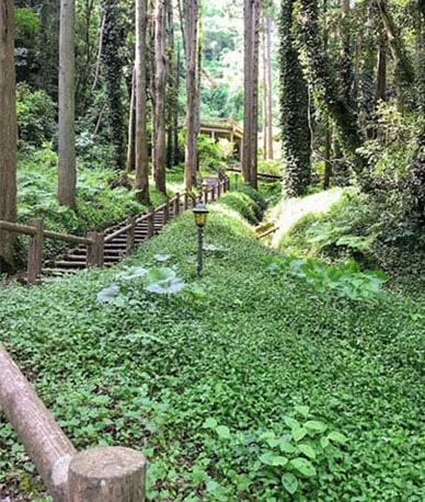 歩きやすく整備された伏姫籠穴