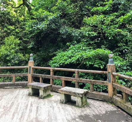 八角形の舞台