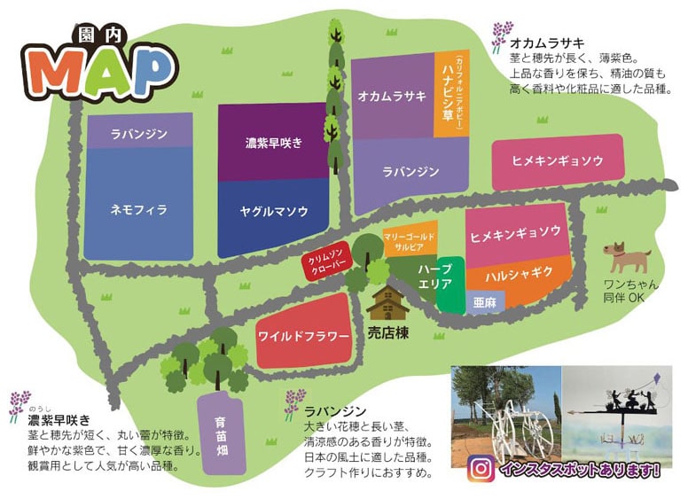 園内マップ