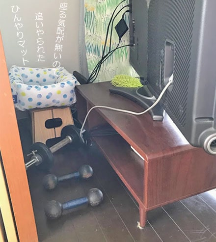 ひんやりマットや鉄アレイを置いたテレビ裏