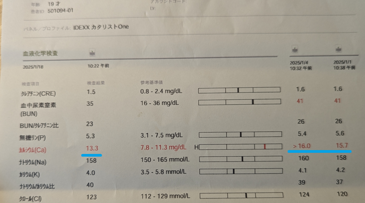 アビ 血液検査の結果