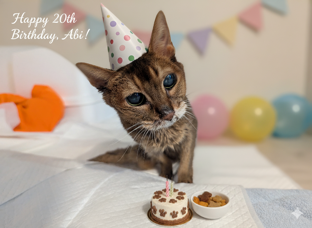 アビ 20歳の誕生日