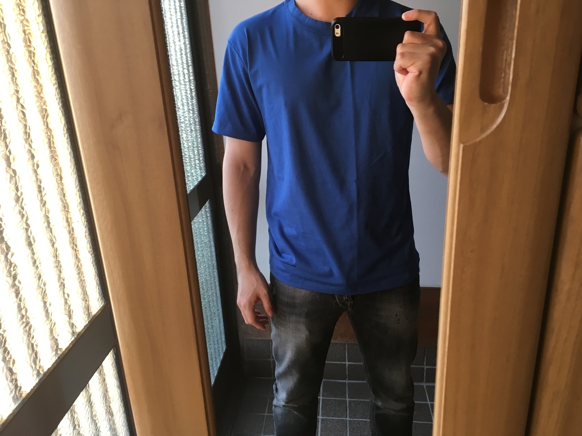 f:id:kageyu1212:20190412205128j:plain