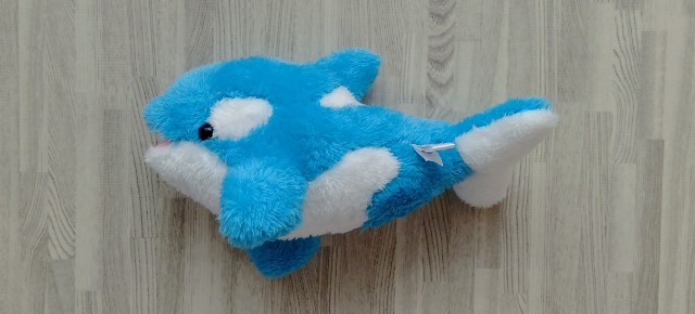 鴨川シーワールド お土産 Kagisio S Blog