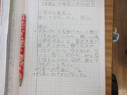f:id:kagiyas:20170529194200j:plain