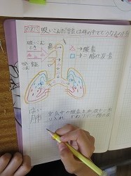６年生 理科 吸い込んだ息はどこへ かぎやっ子日記
