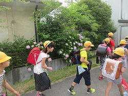 f:id:kagiyas:20170622185155j:plain