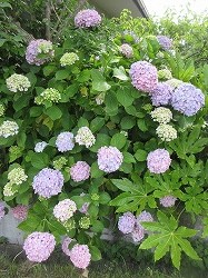 f:id:kagiyas:20170622185205j:plain