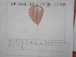 f:id:kagiyas:20171026172042j:plain