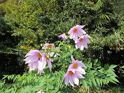 f:id:kagiyas:20171123123148j:plain