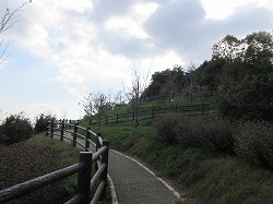 f:id:kagiyas:20171123123315j:plain