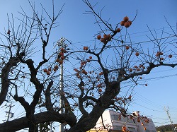 f:id:kagiyas:20171127150742j:plain