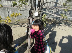 f:id:kagiyas:20171221153547j:plain