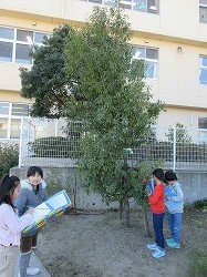 f:id:kagiyas:20171221153609j:plain