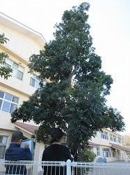 f:id:kagiyas:20171221153616j:plain