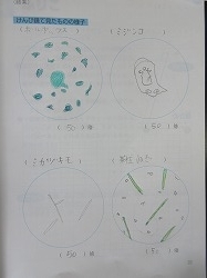 f:id:kagiyas:20180529215056j:plain