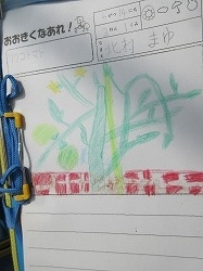 f:id:kagiyas:20180614225148j:plain