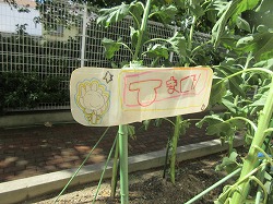 f:id:kagiyas:20180729105300j:plain