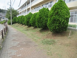 f:id:kagiyas:20180906141413j:plain