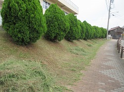 f:id:kagiyas:20180906141436j:plain