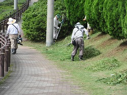 f:id:kagiyas:20180906141459j:plain