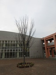 f:id:kagiyas:20181119130109j:plain
