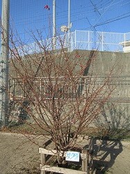 f:id:kagiyas:20181227115627j:plain