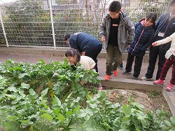 f:id:kagiyas:20190115132723j:plain f:id:kagiyas:20190115132723j:plain