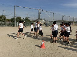 f:id:kagiyas:20190131183647j:plain