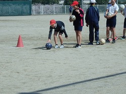 f:id:kagiyas:20190305212729j:plain