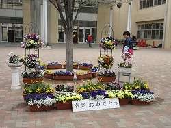 f:id:kagiyas:20190319224911j:plain