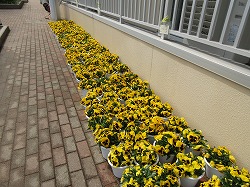 f:id:kagiyas:20190329152134j:plain