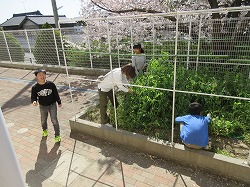 f:id:kagiyas:20190409200809j:plain