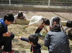 f:id:kagiyas:20190409200831j:plain