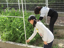f:id:kagiyas:20190409200836j:plain