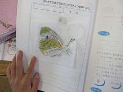 f:id:kagiyas:20190524230348j:plain