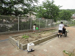 f:id:kagiyas:20190604174114j:plain
