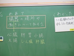 ６年生 理科 臓器のはたらき かぎやっ子日記