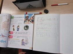 ６年生 理科 臓器のはたらき かぎやっ子日記