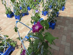 f:id:kagiyas:20190708125515j:plain