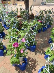 f:id:kagiyas:20190708125520j:plain