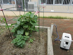 f:id:kagiyas:20190713210337j:plain