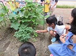 f:id:kagiyas:20190716205121j:plain