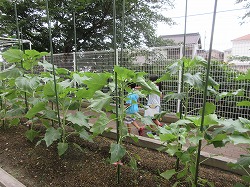 f:id:kagiyas:20190716205138j:plain