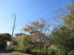 f:id:kagiyas:20191110120828j:plain
