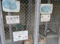 f:id:kagiyas:20191227102139j:plain