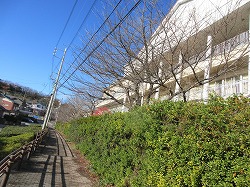 f:id:kagiyas:20191227102220j:plain