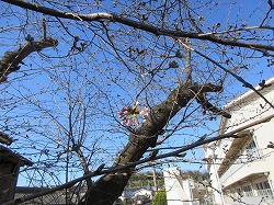 f:id:kagiyas:20200325162124j:plain