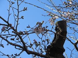 f:id:kagiyas:20200325162129j:plain